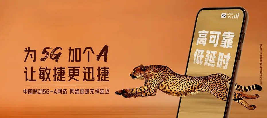 万年县万年县苏桥乡 移动宽带